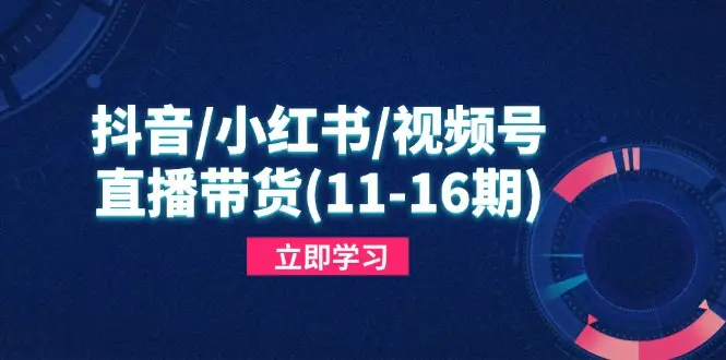 抖音/小红书/视频号/直播带货(11-16期-创业猫 抖音/小红书/视频号/直播带货(11-16期