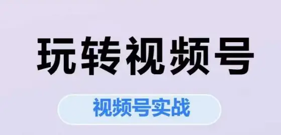 玩转视频号,视频号实战系列课-创业猫 玩转视频号,视频号实战系列课