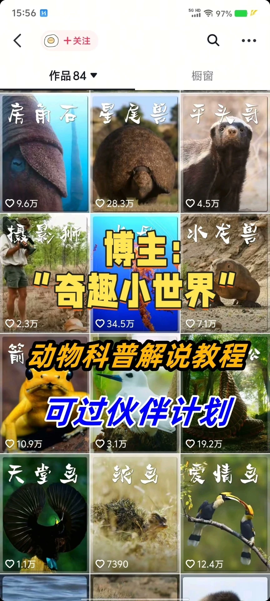 【精】奇趣小世界dy大v博主课程动物百科解说教程剪辑实操视频原创文案思路讲解-创业猫 【精】奇趣小世界dy大v博主课程动物百科解说教程剪辑实操视频原创文案思路讲解